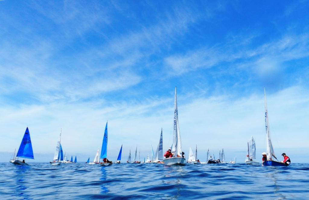 Sail Sandy - Regatta Painted ships.  © Chris Furey